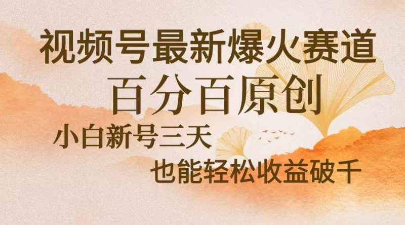 （13225期）视频号最新爆火赛道，中老年粉深信不疑，百分百原创，新号三天收益轻松…-我爱学习网