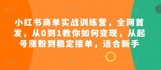 小红书商单实战训练营，全网首发，从0到1教你如何变现，从起号涨粉到稳定接单，适合新手-我爱学习网