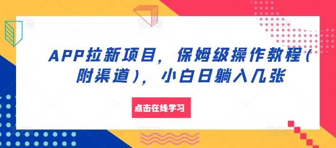 APP拉新项目，保姆级操作教程(附渠道)，小白日躺入几张【揭秘】-我爱学习网