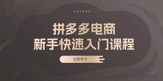 （13289期）拼多多电商新手快速入门课程：涵盖基础、实战与选款，助力小白轻松上手-我爱学习网