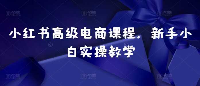 小红书高级电商课程，新手小白实操教学-我爱学习网