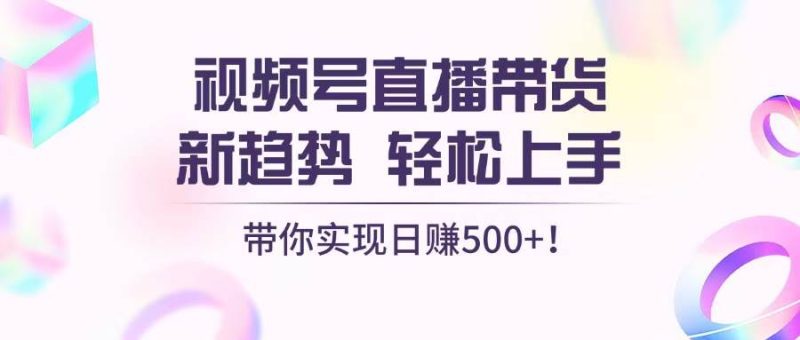 （13370期）视频号直播带货新趋势，轻松上手，带你实现日赚500+-我爱学习网