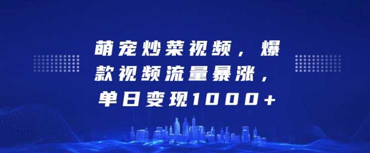 萌宠炒菜视频，爆款视频流量暴涨，单日变现1k-我爱学习网