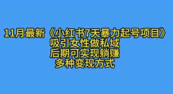 K总部落11月最新小红书7天暴力起号项目，吸引女性做私域【揭秘】-我爱学习网