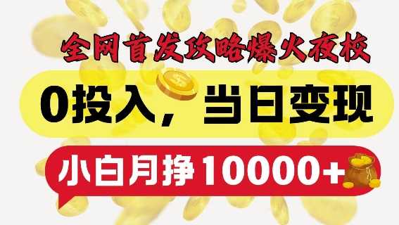 全网首发爆火夜校，0投入，当日变现，小白轻松月入1w+【揭秘】-我爱学习网