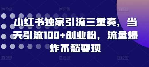 小红书独家引流三重奏，当天引流100+创业粉，流量爆炸不愁变现【揭秘】-我爱学习网