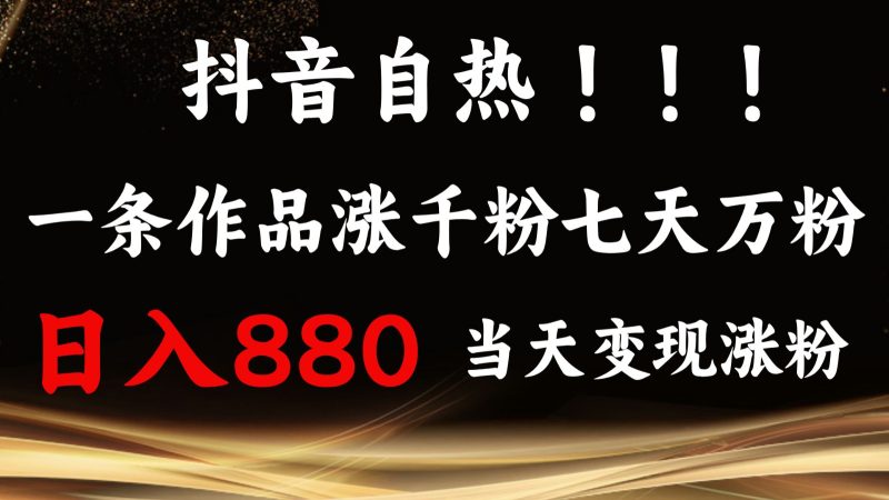 抖音小红书自热，一条作品1000粉，7天万粉，单日变现880收益-我爱学习网