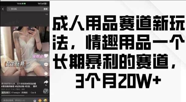 成人用品赛道新玩法，情趣用品一个长期暴利的赛道，3个月收益20个【揭秘】-我爱学习网