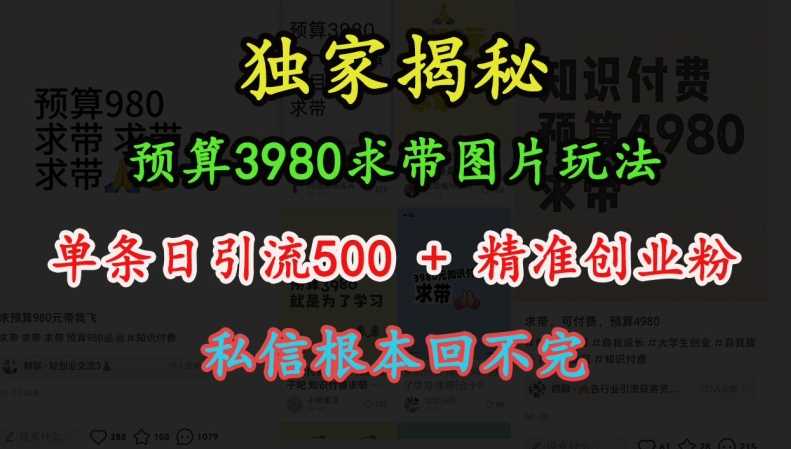 预算3980求带 图片玩法，单条日引流500+精准创业粉，私信根本回不完-我爱学习网