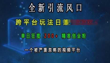 全新引流风口，跨平台玩法日入上k，单日狂揽200+精准创业粉，一个被严重忽略的视频平台-我爱学习网