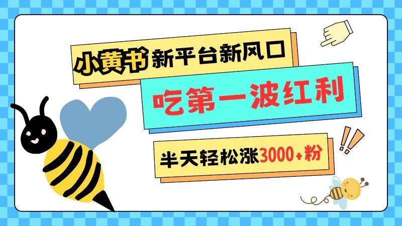 小黄书重磅来袭，新平台新风口，管理宽松，半天轻松涨3000粉，第一波红利等你来吃-我爱学习网