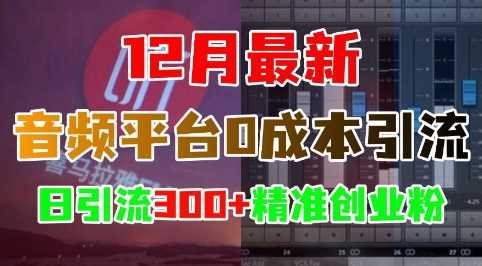 12月最新：音频平台0成本引流，日引流300+精准创业粉-我爱学习网