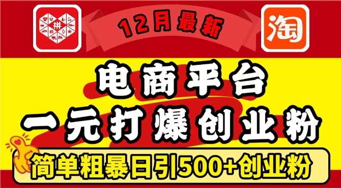 12月最新：电商平台1元打爆创业粉，简单粗暴日引500+精准创业粉，轻松月入过W【揭秘】-我爱学习网