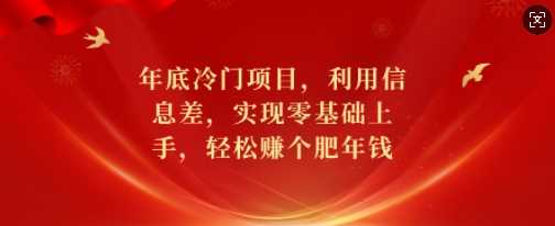 年底冷门项目，利用信息差，实现零基础上手，轻松赚个肥年钱【揭秘】-我爱学习网