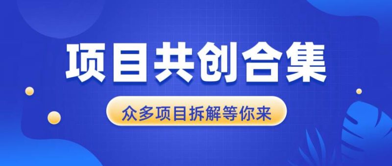 项目共创合集，从0-1全过程拆解，让你迅速找到适合自已的项目-我爱学习网