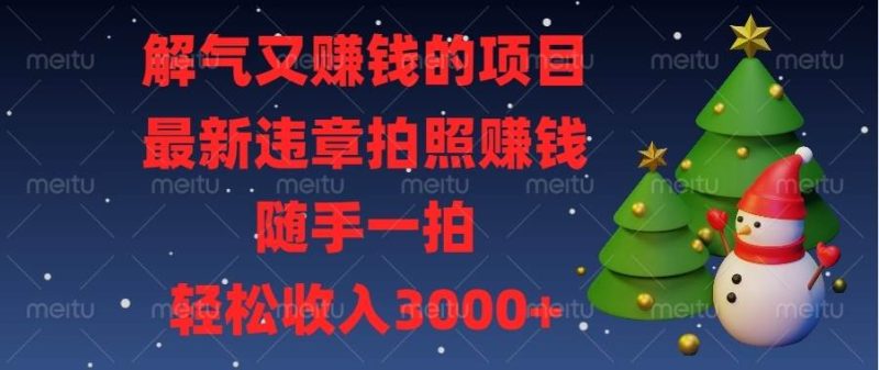 解气又赚钱的项目，最新违章拍照赚钱，随手一拍，轻松收入3000+-我爱学习网