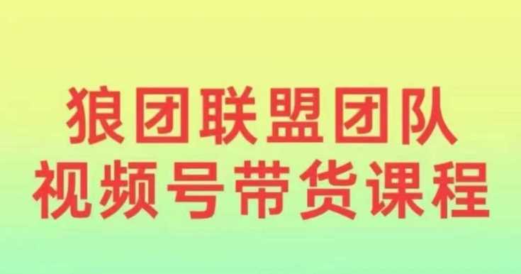 狼团联盟2024视频号带货，0基础小白快速入局视频号-我爱学习网