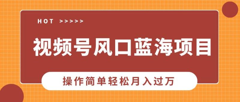 视频号风口蓝海项目，中老年人的流量密码，操作简单轻松月入过万-我爱学习网