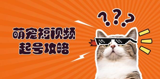 （13135期）萌宠-短视频起号攻略：定位搭建推流全解析，助力新手轻松打造爆款-我爱学习网