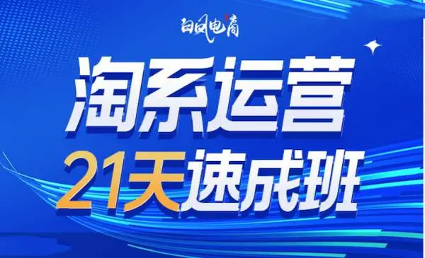 白凤电商《淘系运营21天速成班35期》年前最后一波和2025方向-我爱学习网