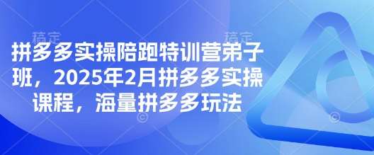 拼多多实操陪跑特训营弟子班，2025年2月拼多多实操课程，海量拼多多玩法-灵牛资源网