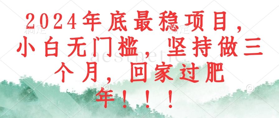 （12970期）2024年底最稳项目，小白无门槛，坚持做三个月，回家过肥年！！！-我爱学习网