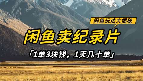 闲鱼卖纪录片1单3块钱，1天几十单，项目稳定有潜力-网创资源库