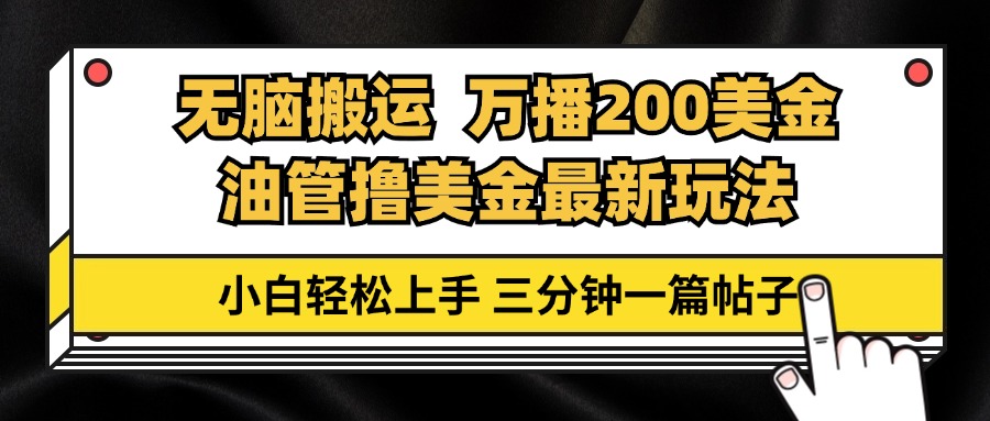 （13050期）油管无脑搬运撸美金玩法教学，万播200刀，三分钟一篇帖子，小白轻松上手-我爱学习网