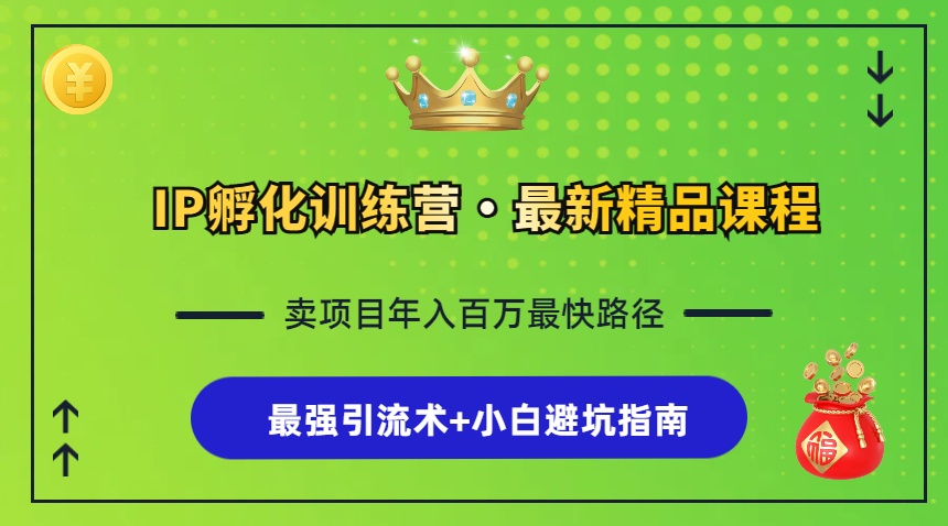 （13055期）IP孵化训练营，知识付费全流程+最强引流术+小白避坑指南-我爱学习网