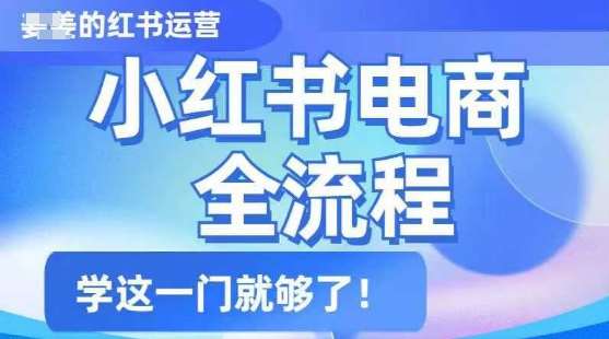 小红书电商全流程，精简易懂，从入门到精通，学这一门就够了-我爱学习网