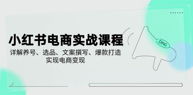 小红书电商实战课程，详解养号、选品、文案撰写、爆款打造，实现电商变现-网创资源库