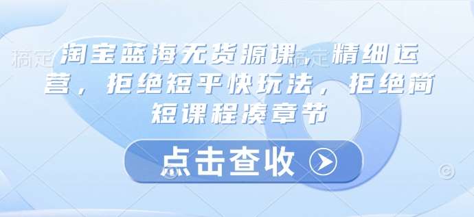 淘宝蓝海无货源课，精细运营，拒绝短平快玩法，拒绝简短课程凑章节-灵牛资源网