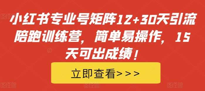 小红书专业号矩阵12+30天引流陪跑训练营，简单易操作，15天可出成绩!-我爱学习网