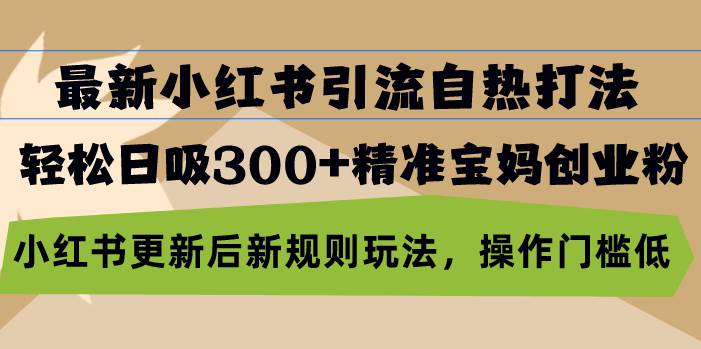 （13145期）最新小红书引流自热打法，轻松日吸300+精准宝妈创业粉，小红书更新后新…-我爱学习网