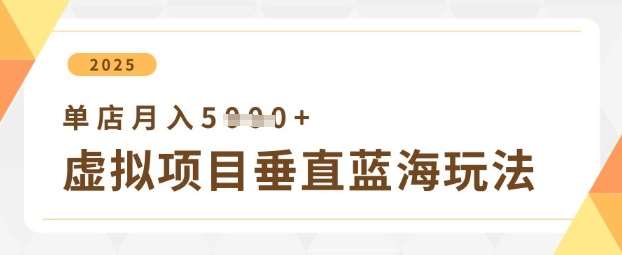 虚拟项目垂直玩法，实现单店月入5k+-网创资源库